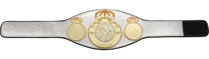 KICKBOXING CHAMPIONSHIP BELT PROLION/G/KBOG - AVAILABLE IN 6+ COLOURS KICKBOXING CHAMPIONSHIP BELT PROLION/G/KBOG - AVAILABLE IN 6+ COLOURS